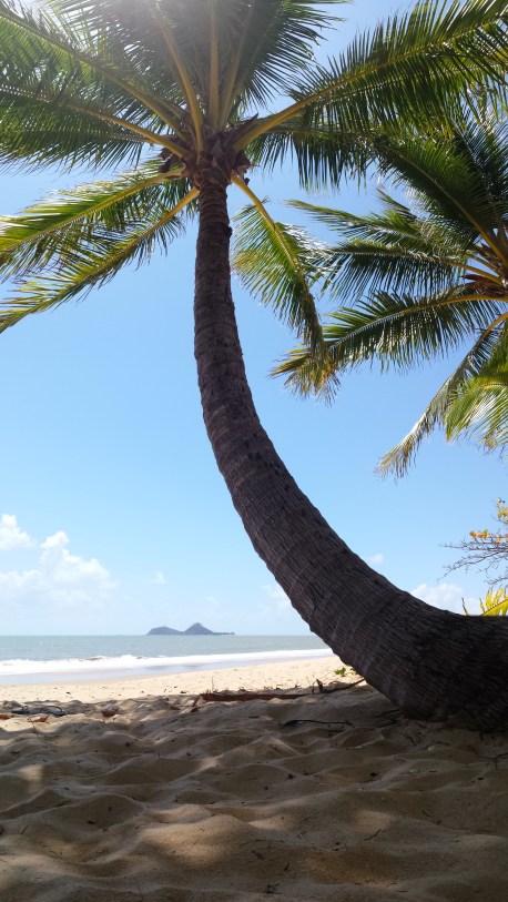 20141004_110225 - Copy