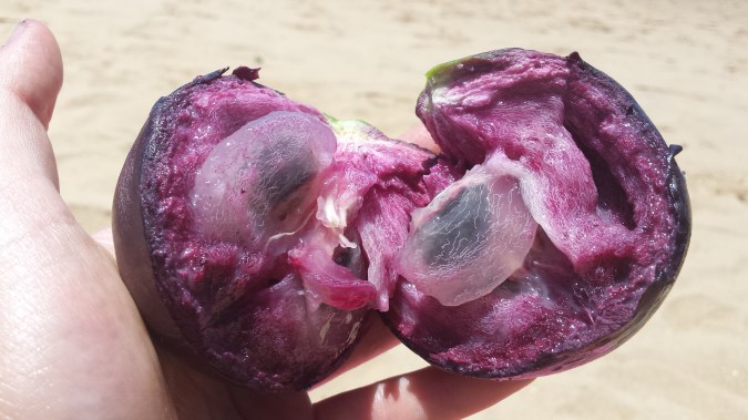 20141004_120335 - Copy